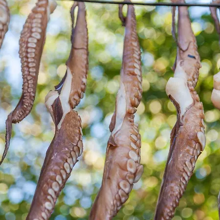 Magical Santorini 1 Bedroom Serenity Private Pool