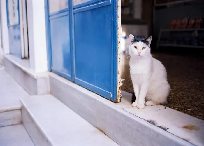 Magical Santorini 1 Bedroom Serenity Private Pool